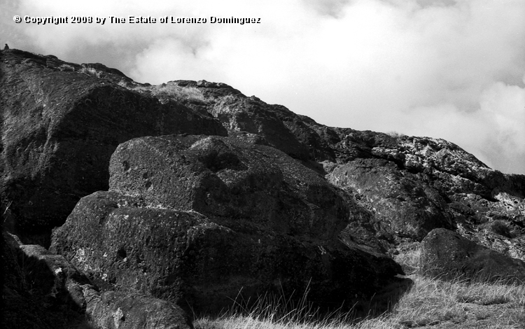 RRI_Cantera_Interior_13.jpg - Easter Island. 1960. Moai on the interior slope of Rano Raraku, near the crest of the volcano. This moai is almost completely carved, but is still connected to the rock by its entire back surface.